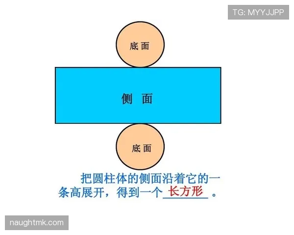 篮球规则的圆柱体原则究竟是怎么判定的? 篮球规则的圆柱体原则究竟是怎么判定的?